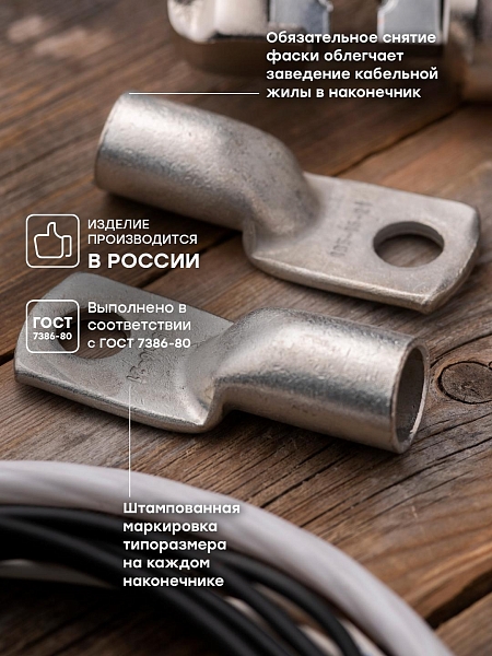 Наконечник медный луженый ТМЛ 185-16-21 EKF PROxima