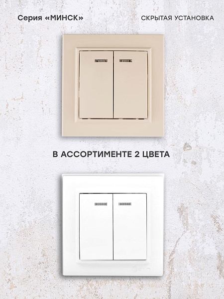 Выключатель 2-кл. СП, Минск, с индикатором 10А, бежевый EKF