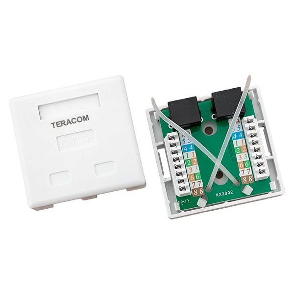 Розетка настенная TERACOM Cat.5E неэкранированная 2 порта RJ-45 Dual IDC белая