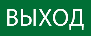 Пиктограмма "Выход" 240x95мм (для SAFEWAY-10) EKF