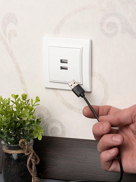Минск Розетка USB 2-местная СП 2,1А белая EKF